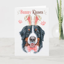 Bernese Mountain Dog in Bunny Ears Easter