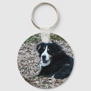 Bernese Mountain Dog in het najaar Sleutelhanger