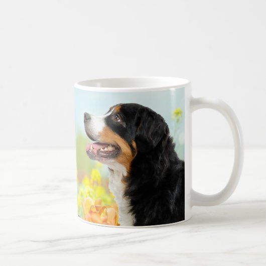 Bernese Mountain dog in the flower garden Koffiemok (Rechts)