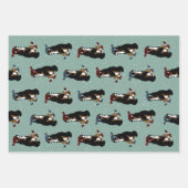 Bernese Mountain Dog Inpakpapier Vel (Voorkant)