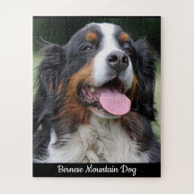 Bernese Mountain Dog Jigzaag Puzzle