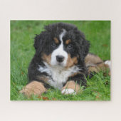 Bernese Mountain Dog Jigzaag Puzzle Puppy Legpuzzel (Horizontaal)