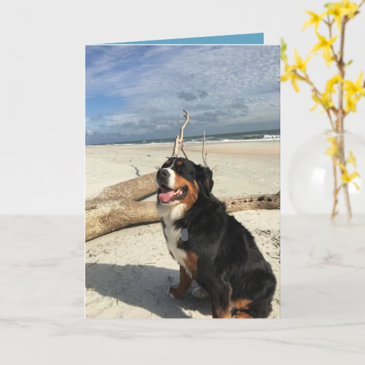 Bernese Mountain Dog Kaart (Gele Bloem)