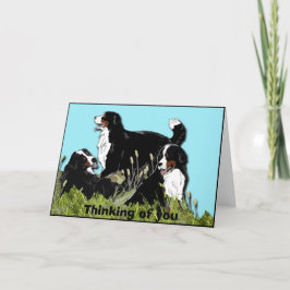 Bernese Mountain Dog Kaart