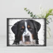 Bernese Mountain Dog Kaart (Staand voorkant)