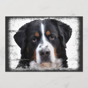 Bernese Mountain Dog Kaart