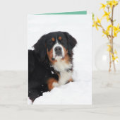  Bernese Mountain Dog Kaart (Gele Bloem)