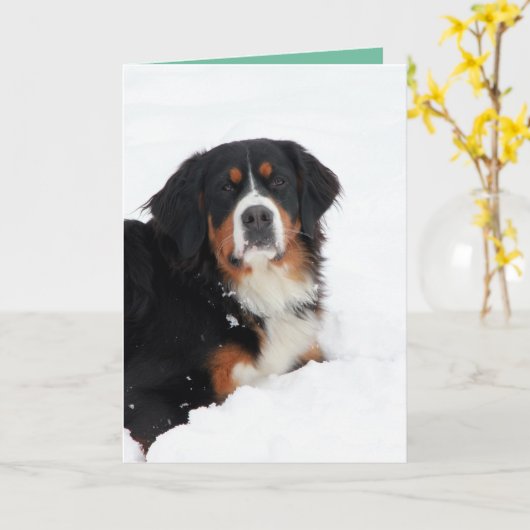  Bernese Mountain Dog Kaart (Gele Bloem)