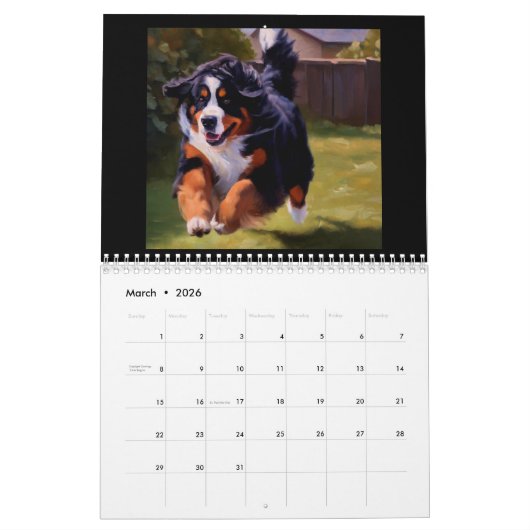 Bernese Mountain Dog Kalender (Mar 2026)
