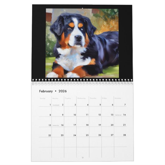 Bernese Mountain Dog Kalender (Feb 2026)