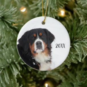 Bernese Mountain Dog Keramisch Ornament