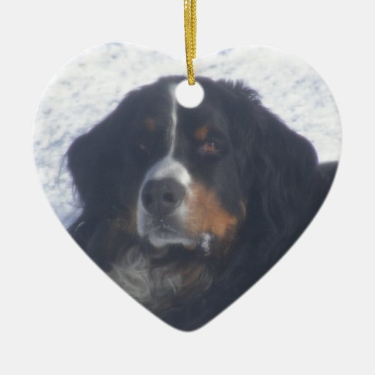 Bernese Mountain Dog Keramisch Ornament (Voorkant)