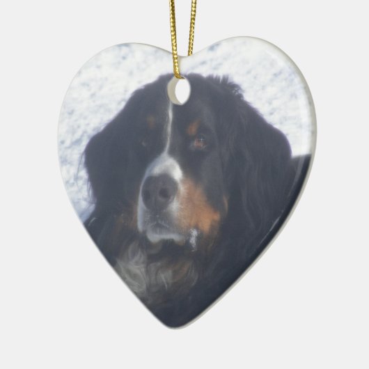Bernese Mountain Dog Keramisch Ornament (Links)