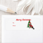 Bernese Mountain Dog-kerstlabels Etiket (Insitu)