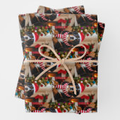 Bernese Mountain Dog Kerstmis Inpakpapier Vel (In situ)
