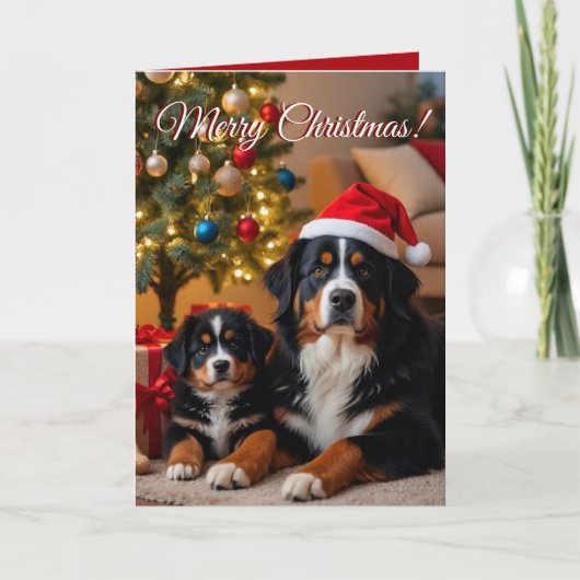 Bernese Mountain Dog Kerstmis Kaart (Voorkant)