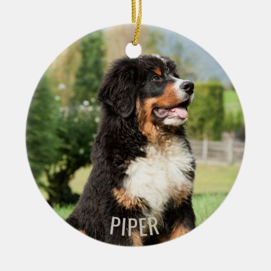 Bernese Mountain Dog-kerstversiering Keramisch Ornament (Voorkant)