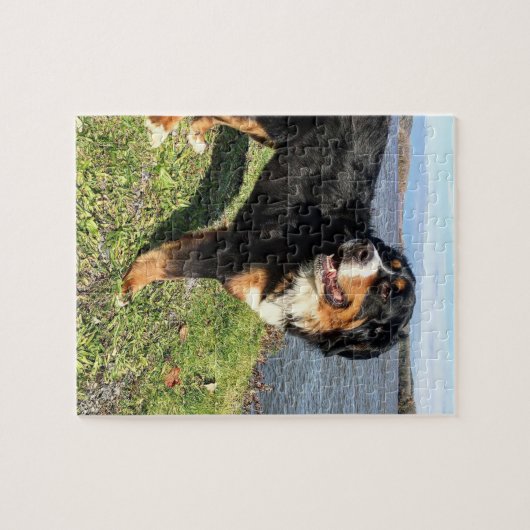 Bernese Mountain Dog Legpuzzel (Horizontaal)