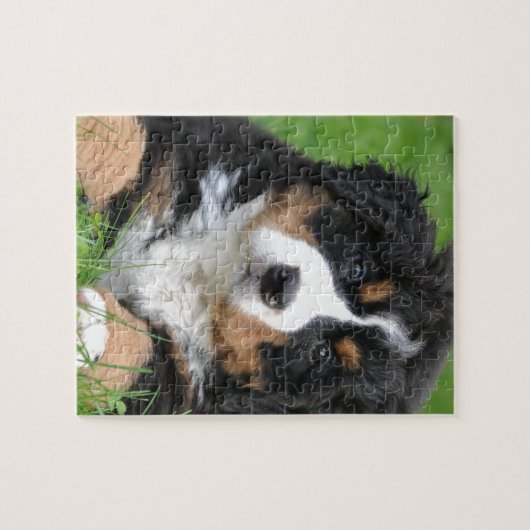 Bernese Mountain Dog Legpuzzel (Horizontaal)