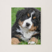 Bernese Mountain Dog Legpuzzel (Verticaal)