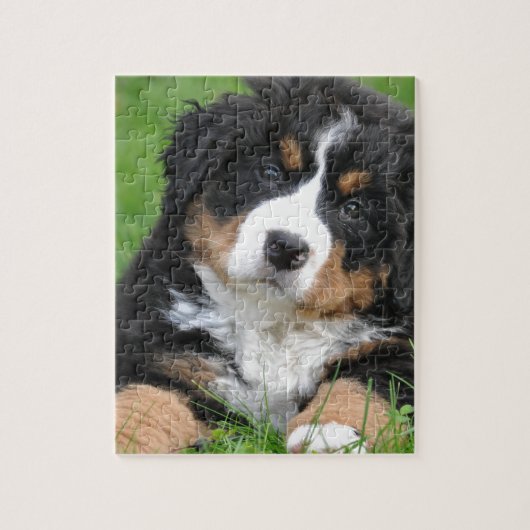 Bernese Mountain Dog Legpuzzel (Verticaal)