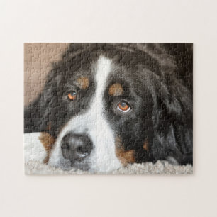 Bernese Mountain Dog Legpuzzel
