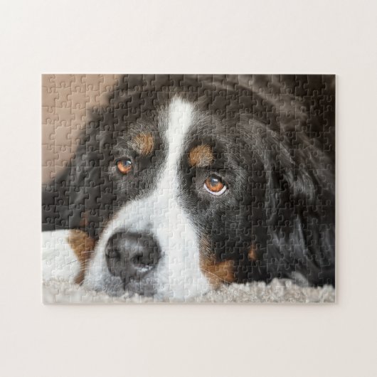 Bernese Mountain Dog Legpuzzel (Horizontaal)