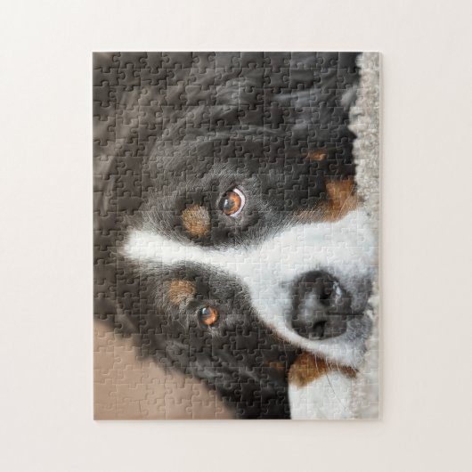 Bernese Mountain Dog Legpuzzel (Verticaal)