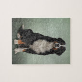 Bernese Mountain Dog Legpuzzel (Horizontaal)