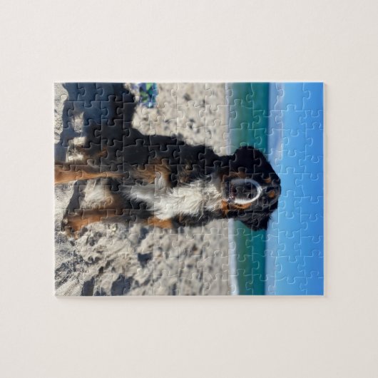 Bernese Mountain Dog  Legpuzzel (Horizontaal)
