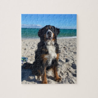Bernese Mountain Dog  Legpuzzel