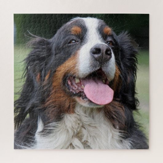 Bernese Mountain Dog Legpuzzel (Verticaal)