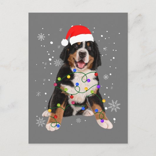 Bernese Mountain Dog licht kerstmis op Briefkaart (Voorkant)