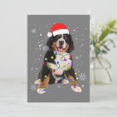 Bernese Mountain Dog licht kerstmis op Kaart (Staand voorkant)