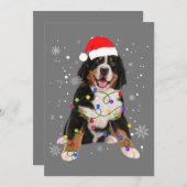 Bernese Mountain Dog licht kerstmis op Kaart (Voorkant / Achterkant)
