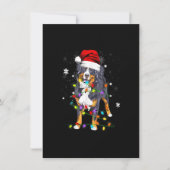 Bernese Mountain Dog licht kerstmis op Kaart (Voorkant)