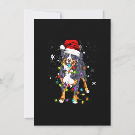 Bernese Mountain Dog licht kerstmis op Kaart (Voorkant)
