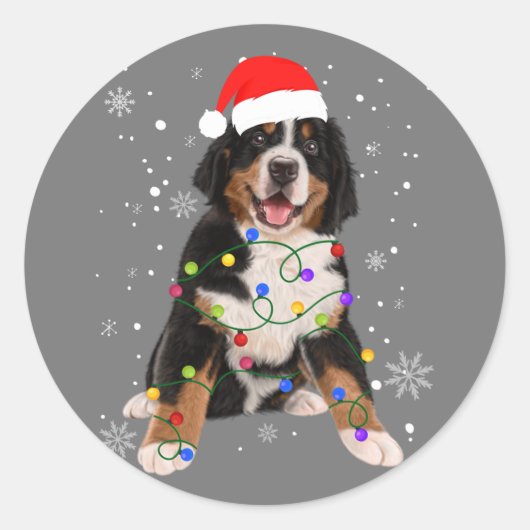 Bernese Mountain Dog licht kerstmis op Ronde Sticker (Voorkant)