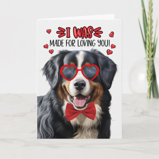 Bernese Mountain Dog maakt van je Valentijn Feestdagen Kaart (Voorkant)