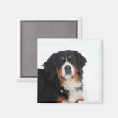 Bernese Mountain Dog Magneet (Voorkant / Achterkant)