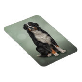 Bernese Mountain Dog Magneet (Rechterzijde)
