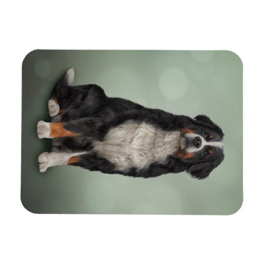 Bernese Mountain Dog Magneet (Horizontaal)