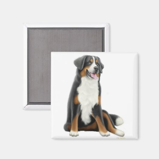 Bernese Mountain Dog Magnet (Voorkant / Achterkant)