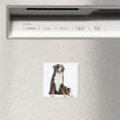 Bernese Mountain Dog Magnet (Insitu (Vaatwasser))