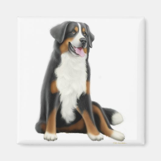Bernese Mountain Dog Magnet (Voorkant)