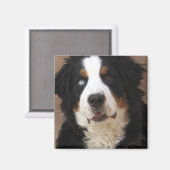 Bernese Mountain Dog Magnet 2 - "Lucy" (Voorkant / Achterkant)