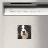 Bernese Mountain Dog Magnet 2 - "Lucy" (Insitu (Vaatwasser))