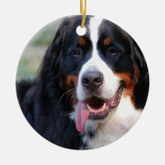 Bernese Mountain Dog met Big Tongue Ornaments Keramisch Ornament (Voorkant)