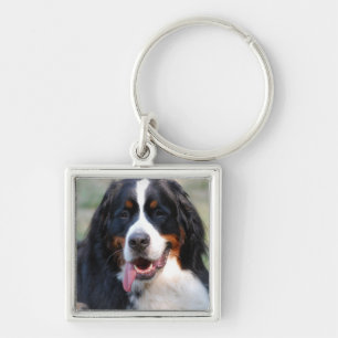 Bernese Mountain Dog met Big Tongue Sleutelhanger