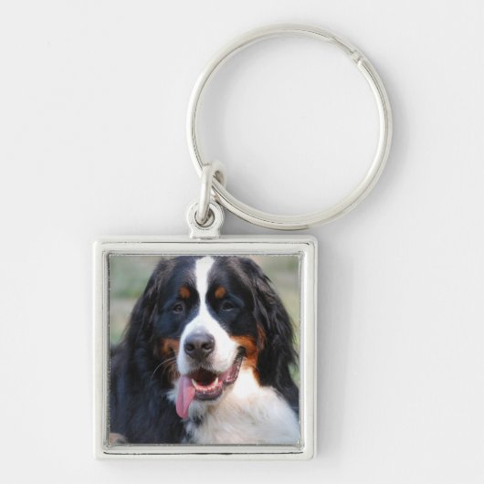 Bernese Mountain Dog met Big Tongue Sleutelhanger (Voorkant)